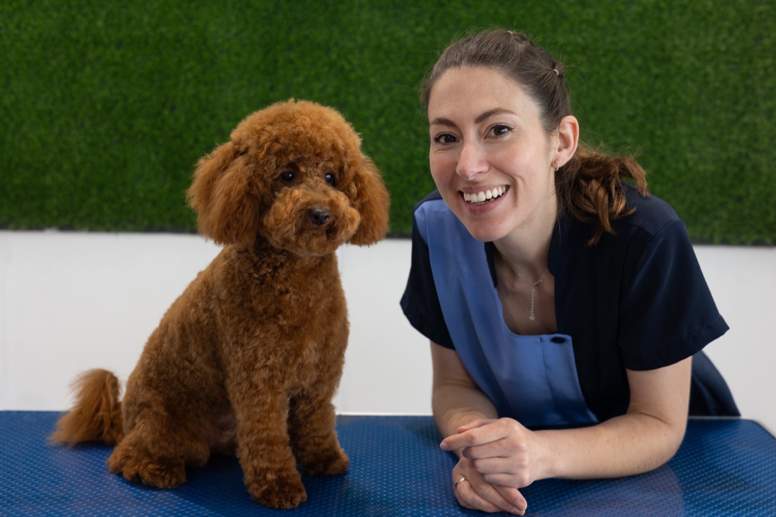 A dog getting a haircut on the grooming table